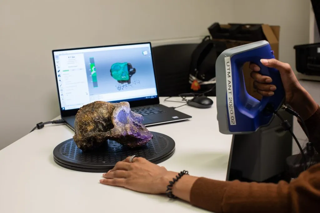 Anthropology 3D scan