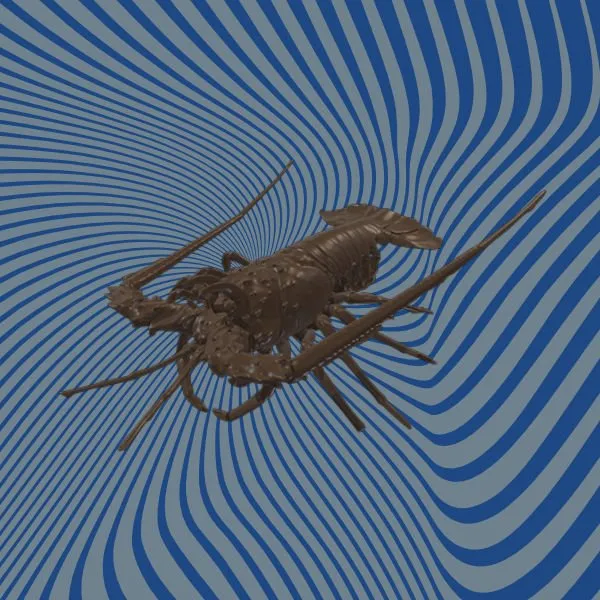 Lobster 3D Scan