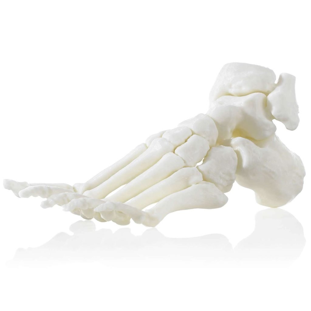 ABS-M30i 3D printed foot