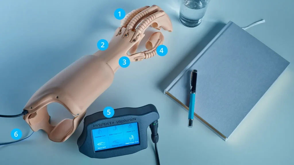 HKK Bionics model