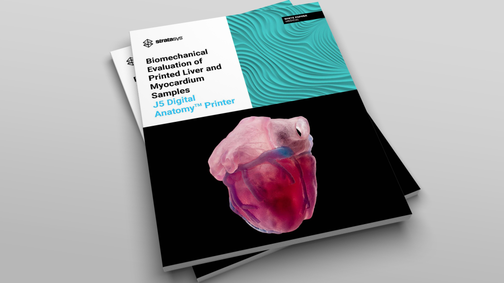 3d printed liver and myocardium models white paper