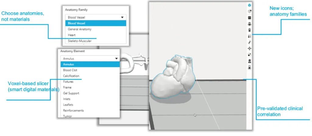 Digital Anatomy Software