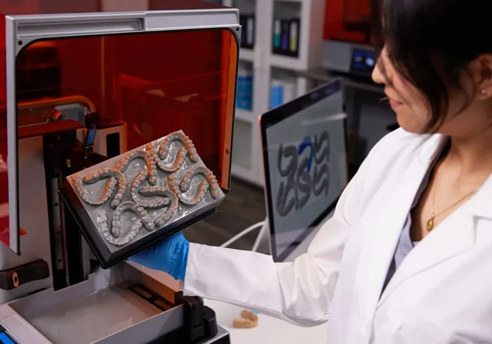 formlabs 4b dental set