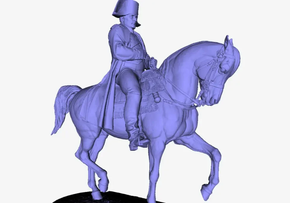napolean model